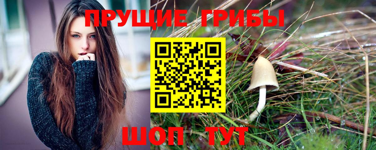 Псилоцибиновые грибы Magic Shrooms Нефтеюганск