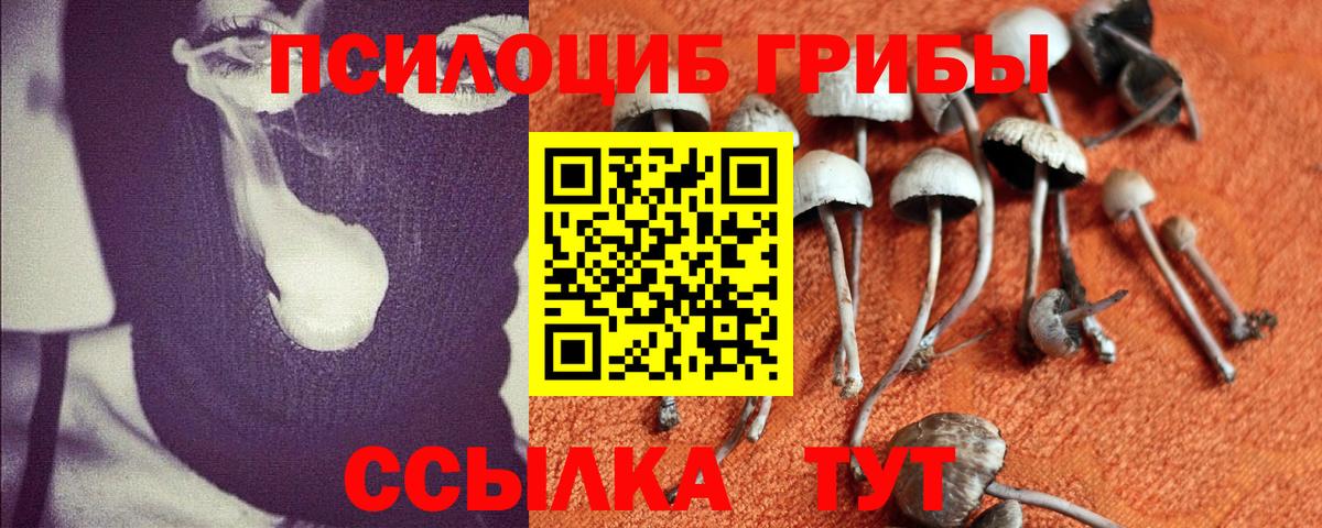 Галлюциногенные грибы мухоморы  Псилоцибиновые грибы прущие грибы  Нефтеюганск  Вход с VPN 